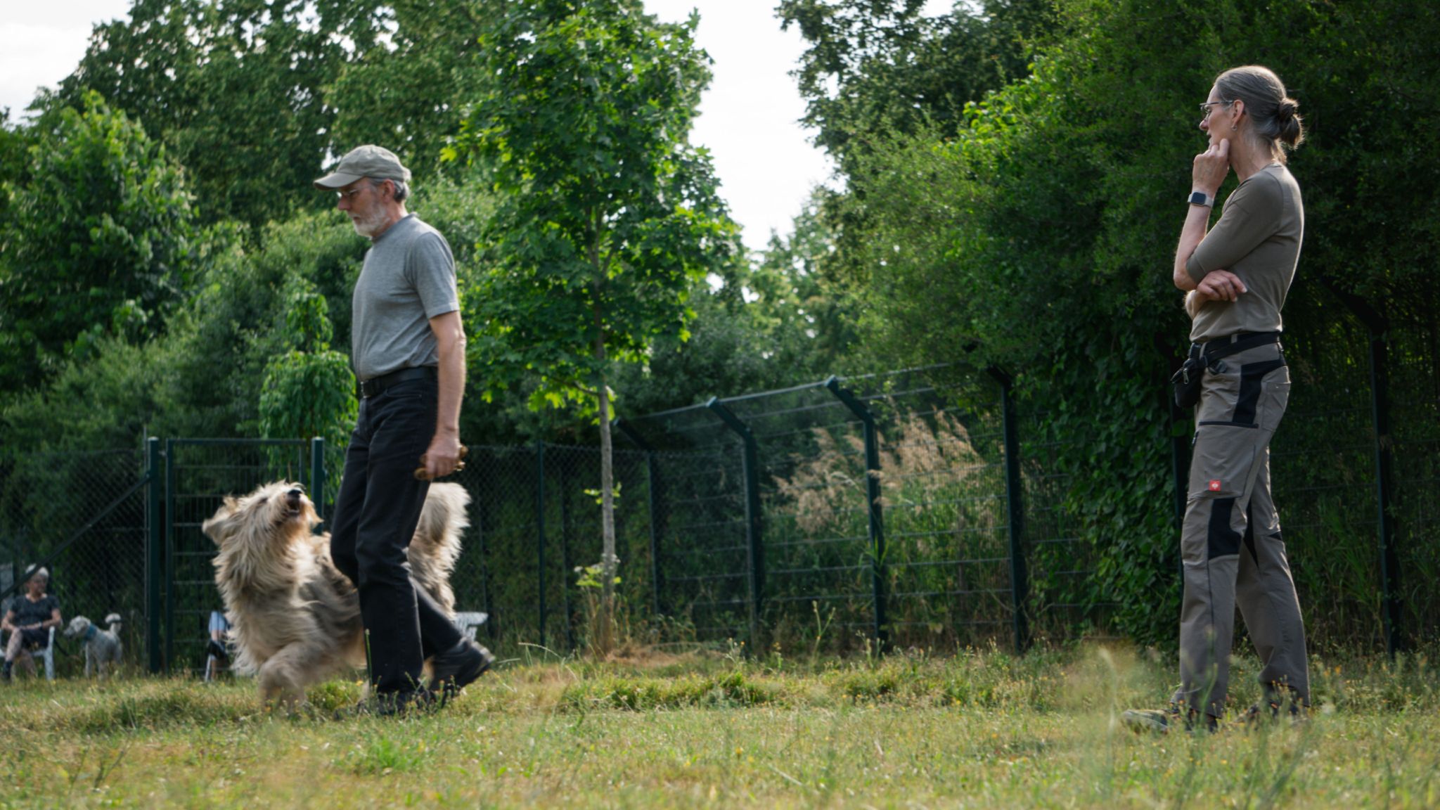 WhatsApp Image 2023-07-22 at 21.22.19 Mobiles Hundetraining im Rhein-Erft-Kreis und im Kölner Westen und Süden