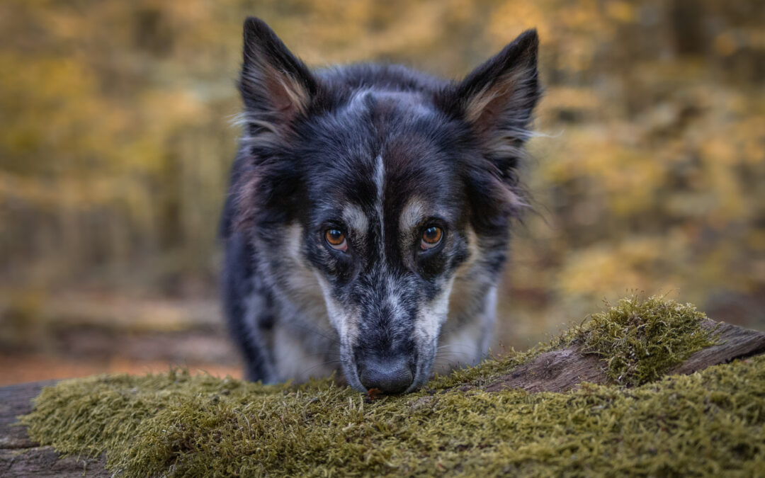 Leider oft ein Irrglaube: „Wir arbeiten dran!“